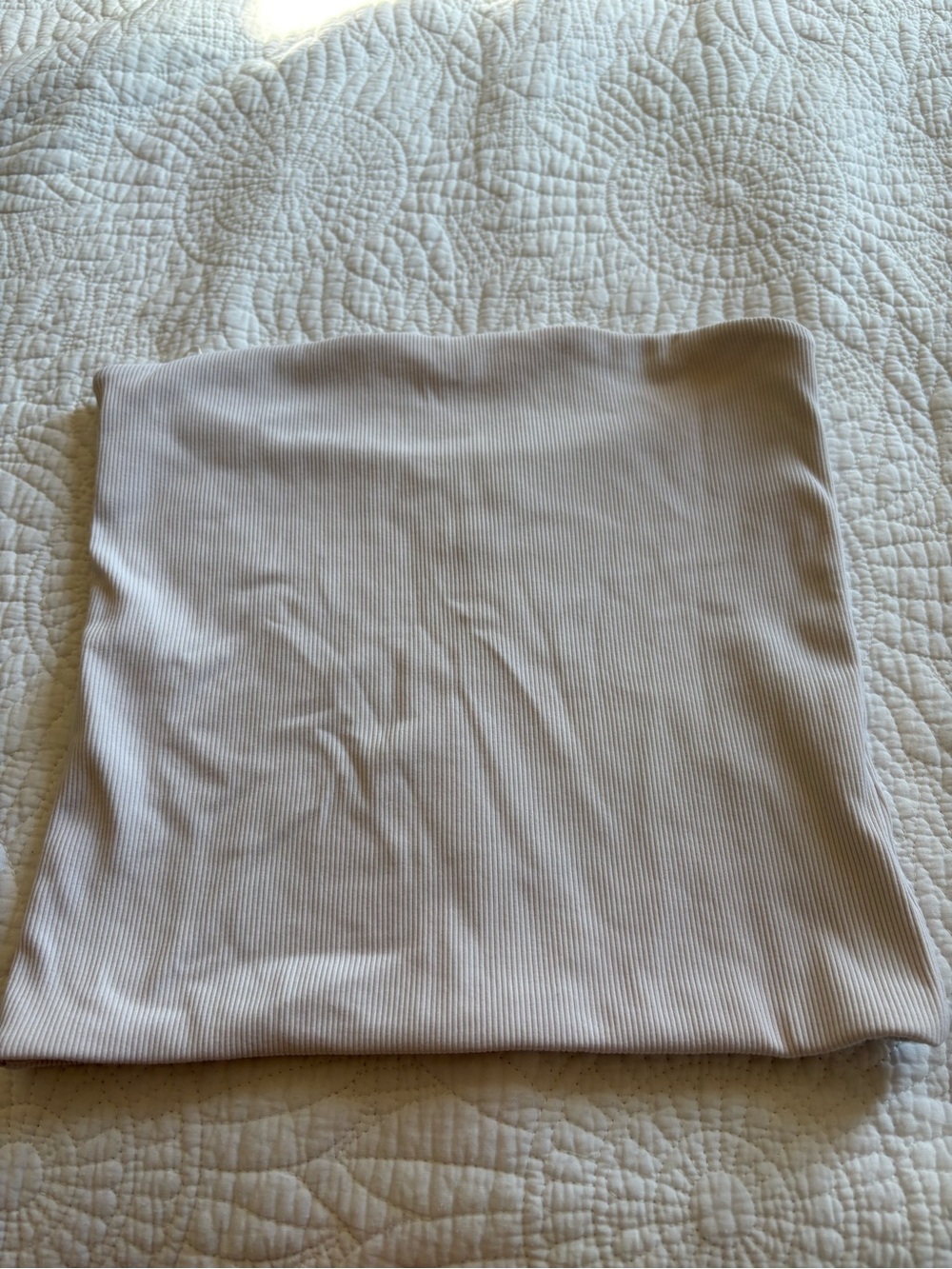 Aritzia Ribbed Tube Top in White